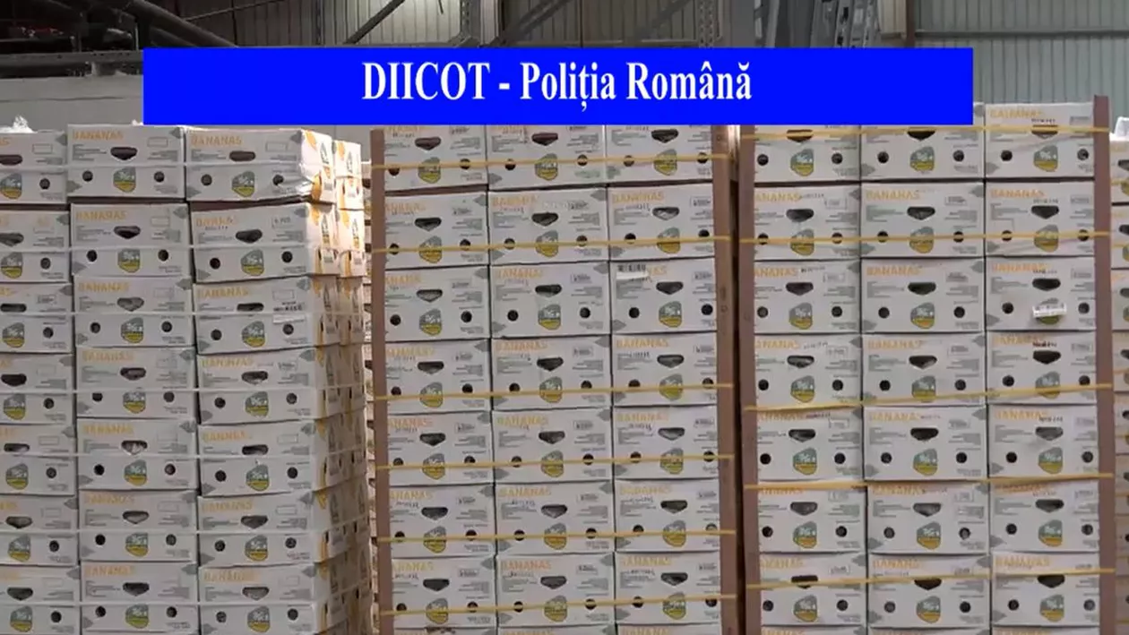 Jumătate de tonă de cocaină a fost descoperită din greșeală lângă București. În cutii ar fi trebuit să fie banane (VIDEO)