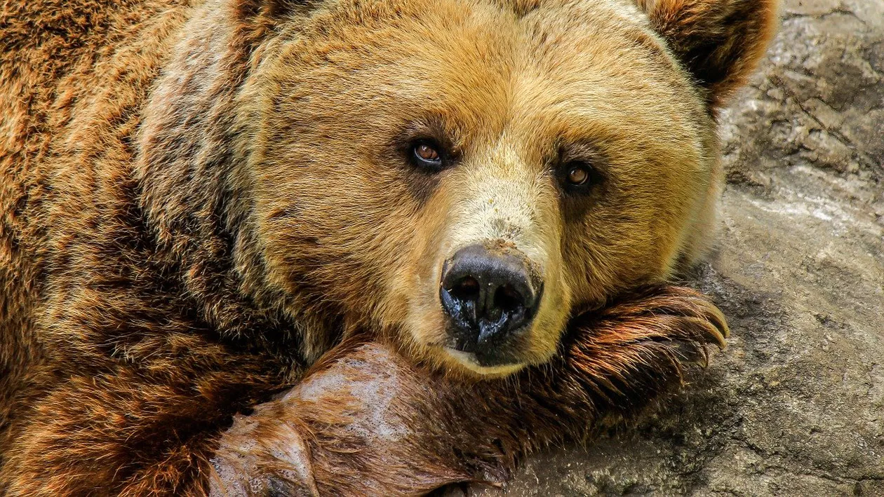 Românii nu se mai potolesc! Ce a putut face o femeie pe Transfăgărăşan este regretabil