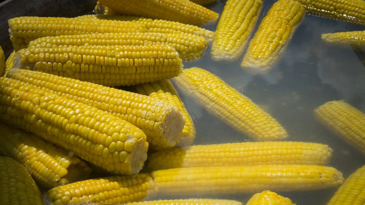 Porumbul fiert de pe plajă poate fi periculos. Aspectele la care oamenii trebuie să fie atenți