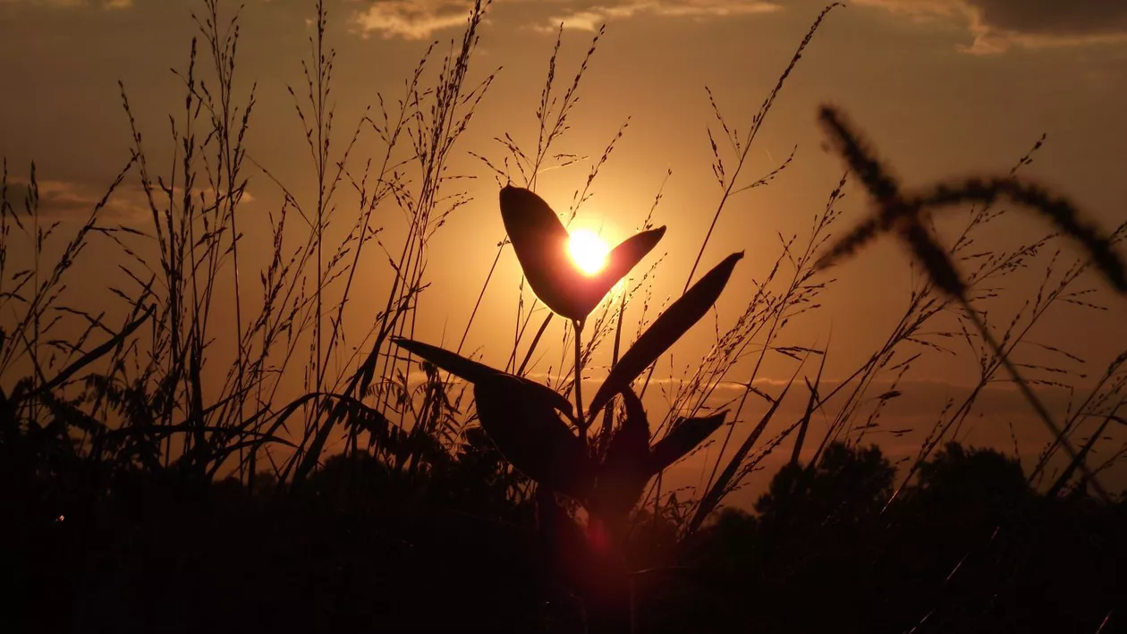 ANM: Codul galben de caniculă a fost prelungit până luni seară. Sunt prognozate vijelii până marți