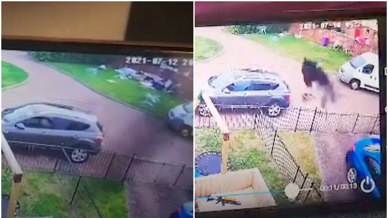 După ce a văzut imaginile de pe camerele de supraveghere, o femeie a chemat preotul să sfințească locuința. Înregistrarea a îngrozit-o (VIDEO)
