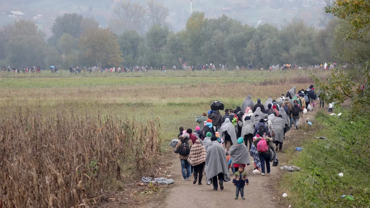 Reclamele la mâncarea pentru pisici, folosite de traficanții de persoane pentru a-i convinge pe migranți să-și continue drumul până în Austria