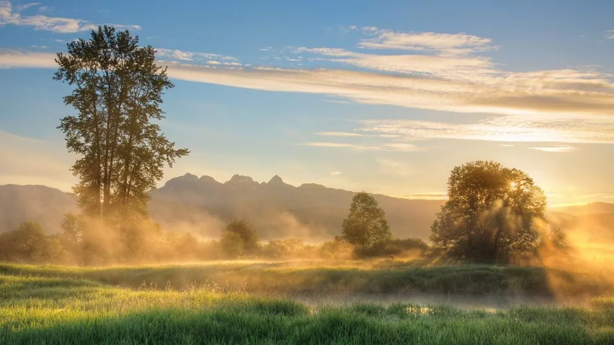 Cod galben de ceață în șase județe din România, vineri dimineața. Vizibilitatea, redusă sub 50 de metri