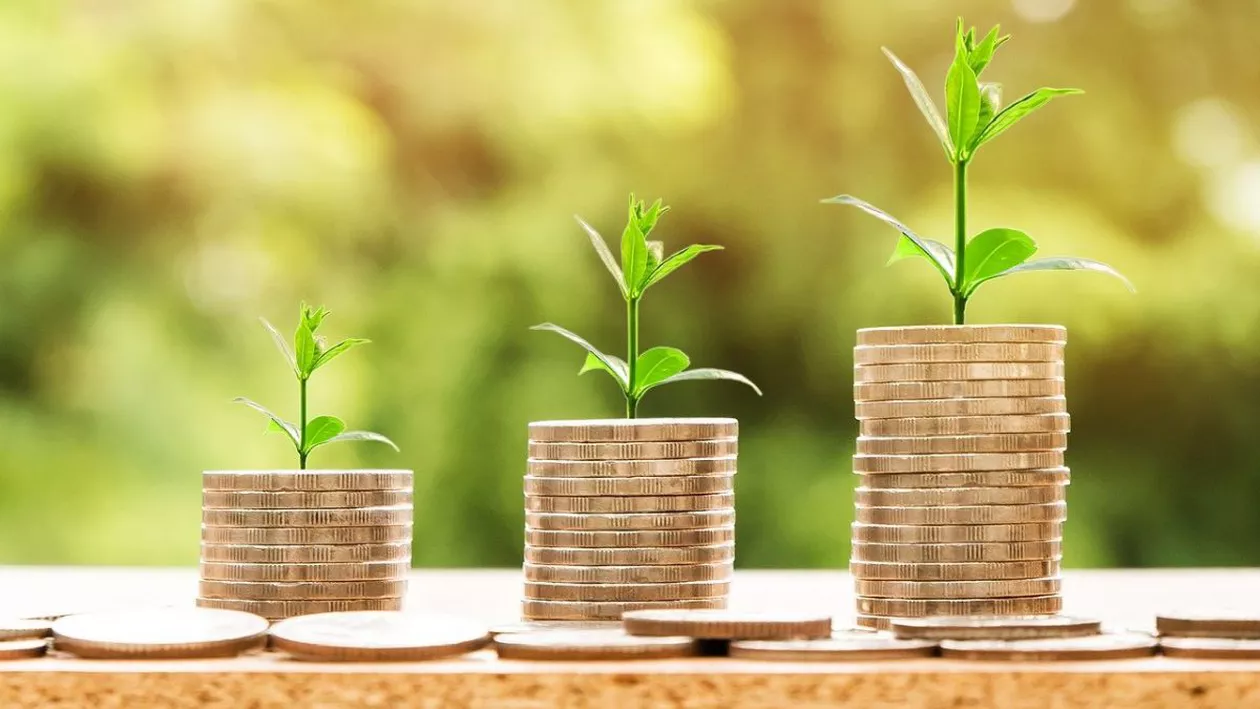 Cum poți să atragi banii în viața ta. Ce trebuie să faci pentru belșug și bogăție, potrivit specialiștilor