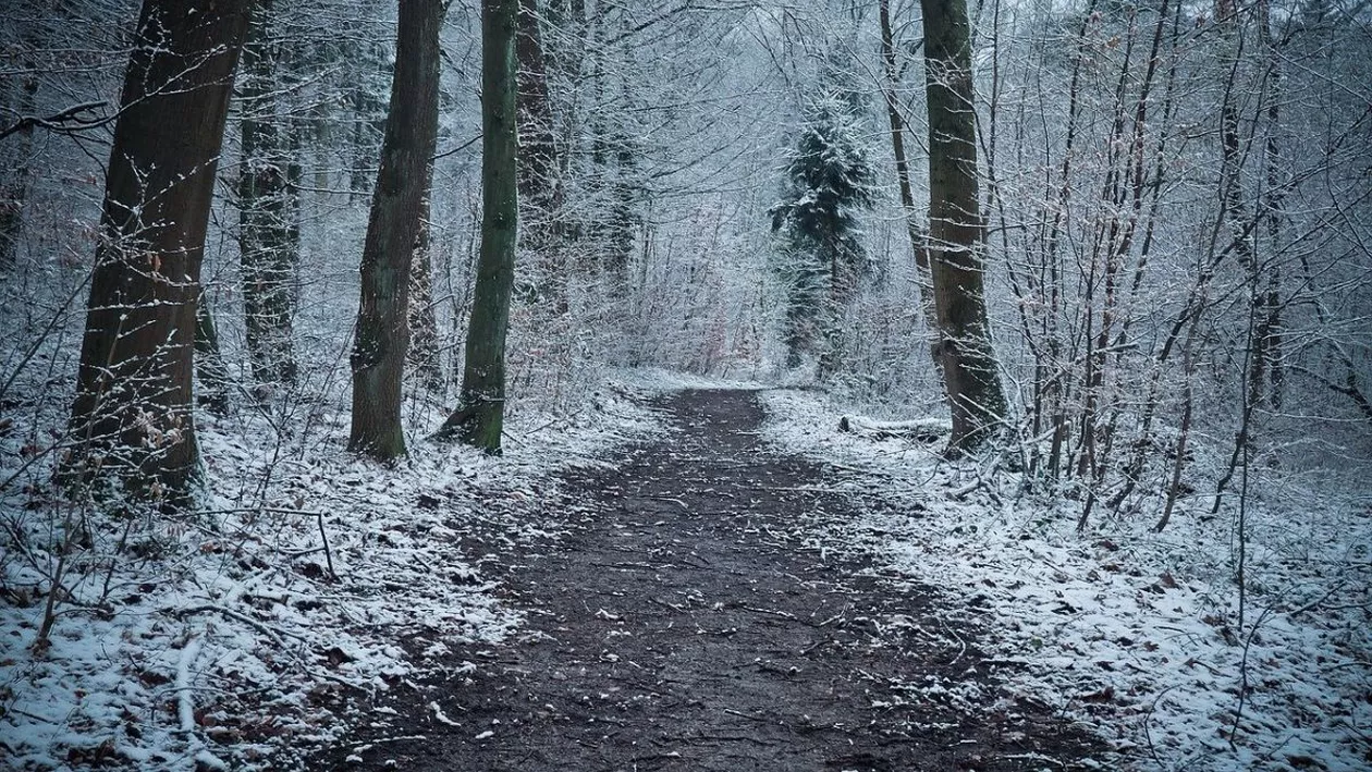 Cod galben de ger și intensificări ale vântului. Vremea se răcește considerabil în România