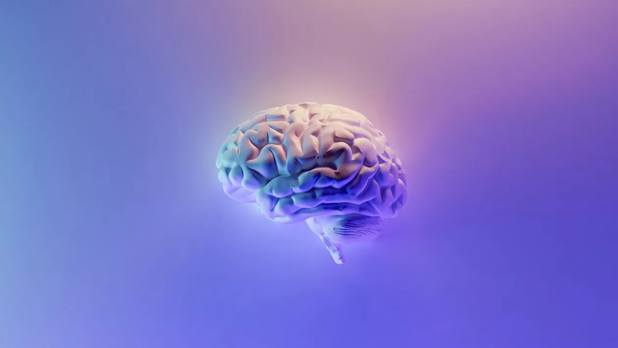 Black Friday 2021. Trucurile magazinelor la care creierul uman nu poate rezista. Shoppingul, comparat cu consumul de droguri, de psihologi