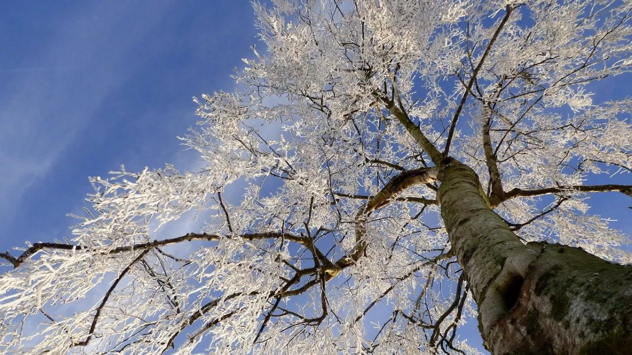 Prognoza meteo pentru două săptămâni. Minimele de până la 2 grade în octombrie. Vremea, mai caldă în noiembrie