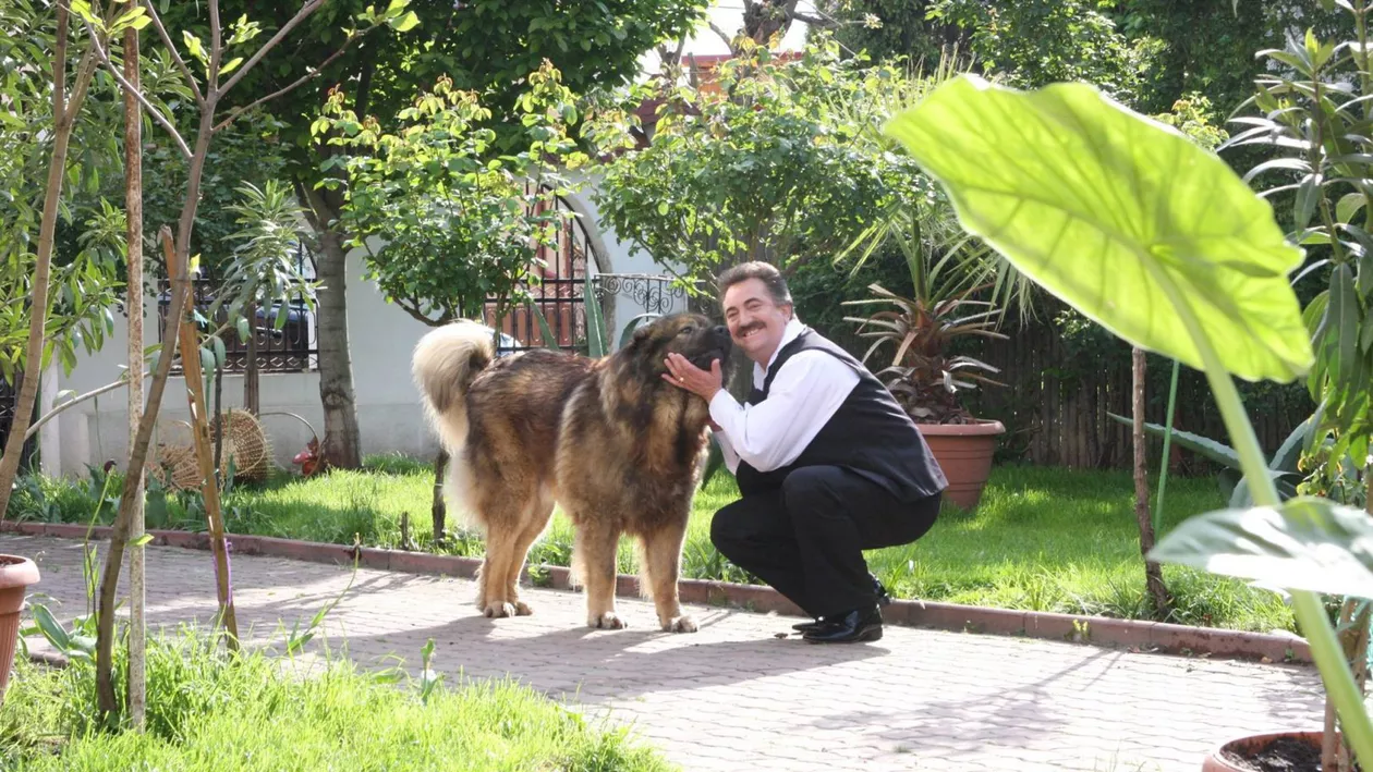 Cât a costat sicriul lui Petrică Mîțu Stoian. Familia artistului a cheltuit o sumă uriașă de bani