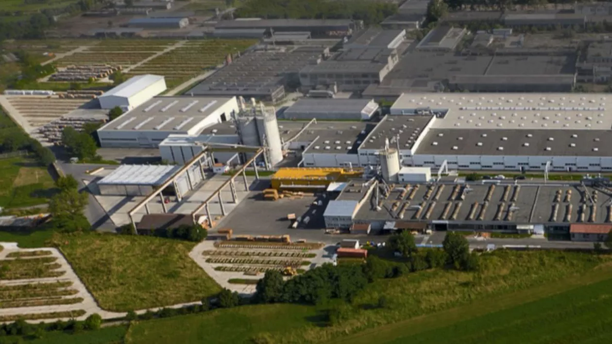 HS Timber redevine membru FSC, organizatia de certificare a managementului forestier