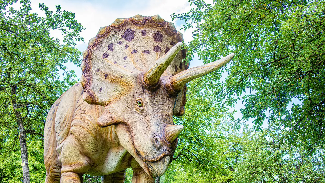 Un ou de dinozaur rar, perfect conservat, descoperit în China