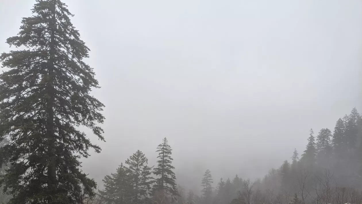 Cod galben de ceaţă, ghețuș și vânt în șase judeţe. Avertizările meteorologice rămân valabile până marți