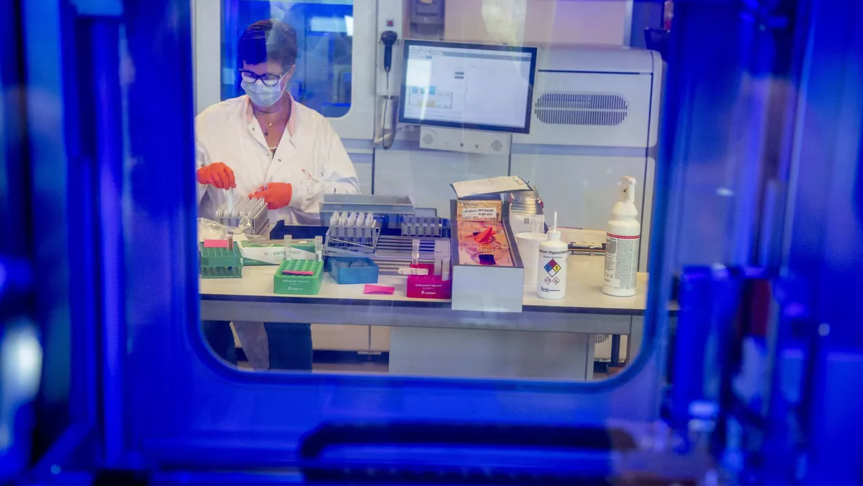 Cazuri de „flurona”, confirmate și în Spania. Cât de periculoasă e combinația între gripă și coronavirus / Dr. Simin Florescu: Ne așteptăm să explodeze numărul de cazuri COVID. Avem posibilitatea vaccinării și nu profităm