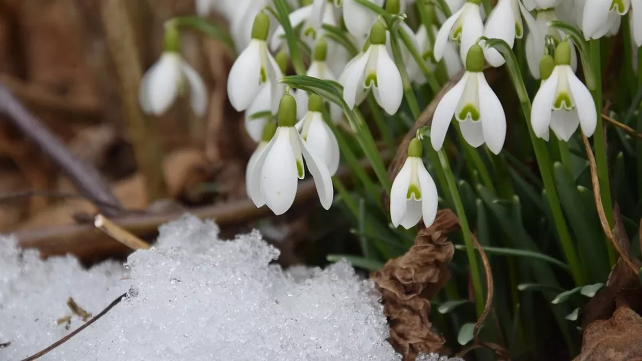 Cum va fi vremea joi, 8 februarie. Temperaturile ajung la 19 grade în sud