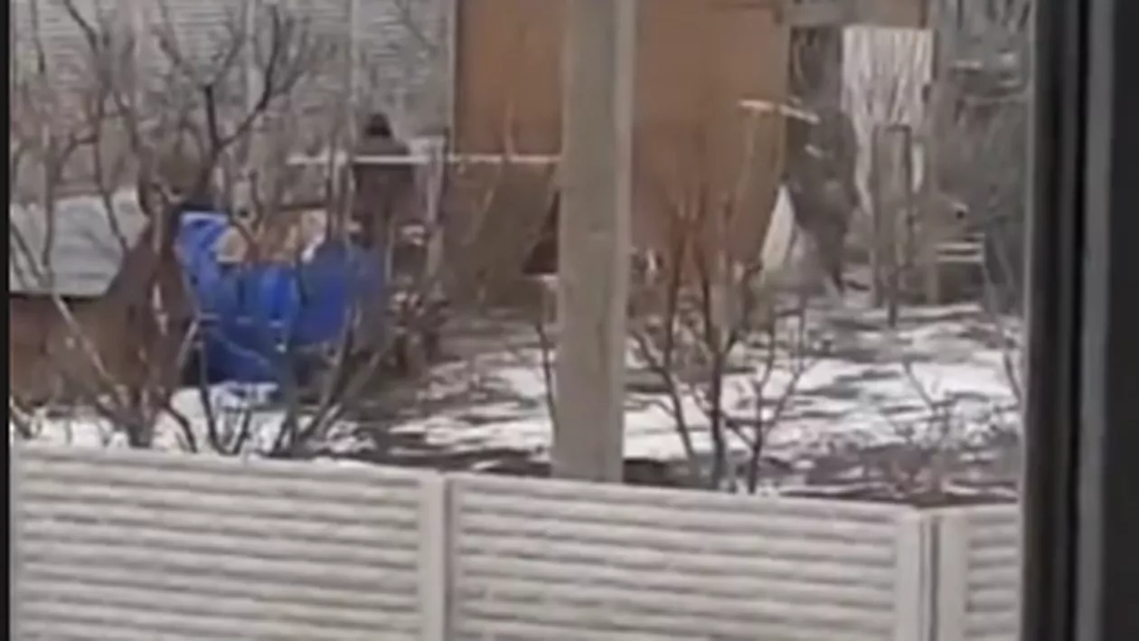 Soldații ruși, prinși la furat  de găini, într-o curte dintr-un sat ocupat (video)