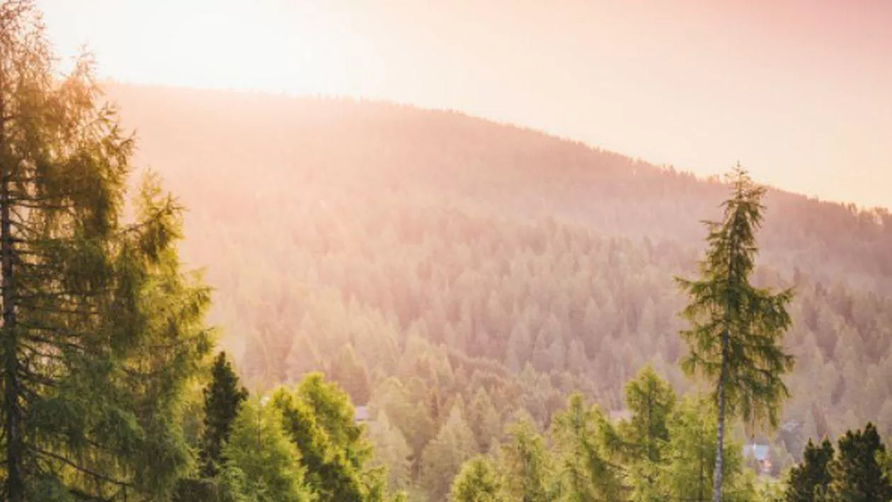 Marcaje de drumeție, distruse de turiști. Salvamont Sibiu: Pentru anumite persoane, drumețiile reprezintă ocazia să-și refuleze frustrările