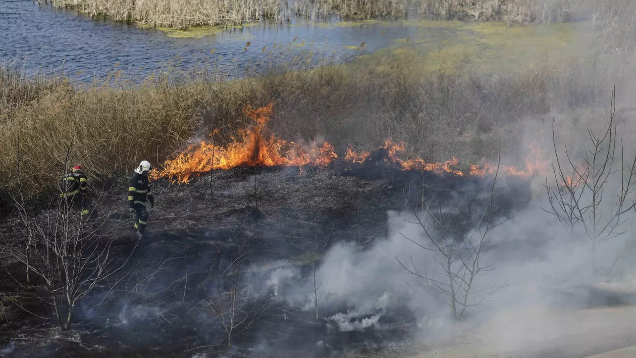 UPDATE / Incendiu din Parcul Natural Delta Văcărești a fost stins. Flăcările s-au manifestat pe 10.000 mp. Urmează evaluări în teren privind impactul asupra florei și faunei (VIDEO, GALERIE FOTO)
