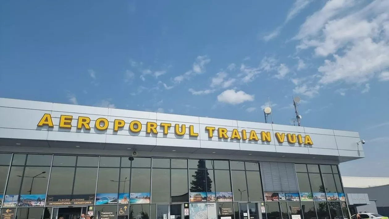 O turmă de porci a păscut în fața Aeroportului Timișoara. „Uite, prim-miniștrii noștri la aeroport” (VIDEO)