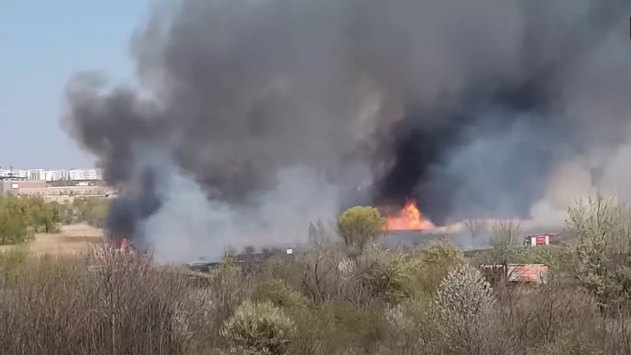 Incendiu puternic în Târgu Mureș. Sute de oi și miei au ars după ce adăpostul în care se aflau a luat foc