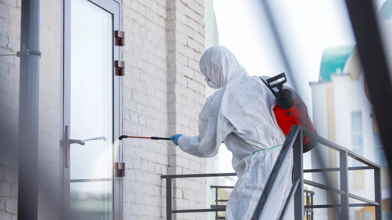 Alertă sanitară la Londra: Două persoane au fost testate pozitiv cu variola maimuței