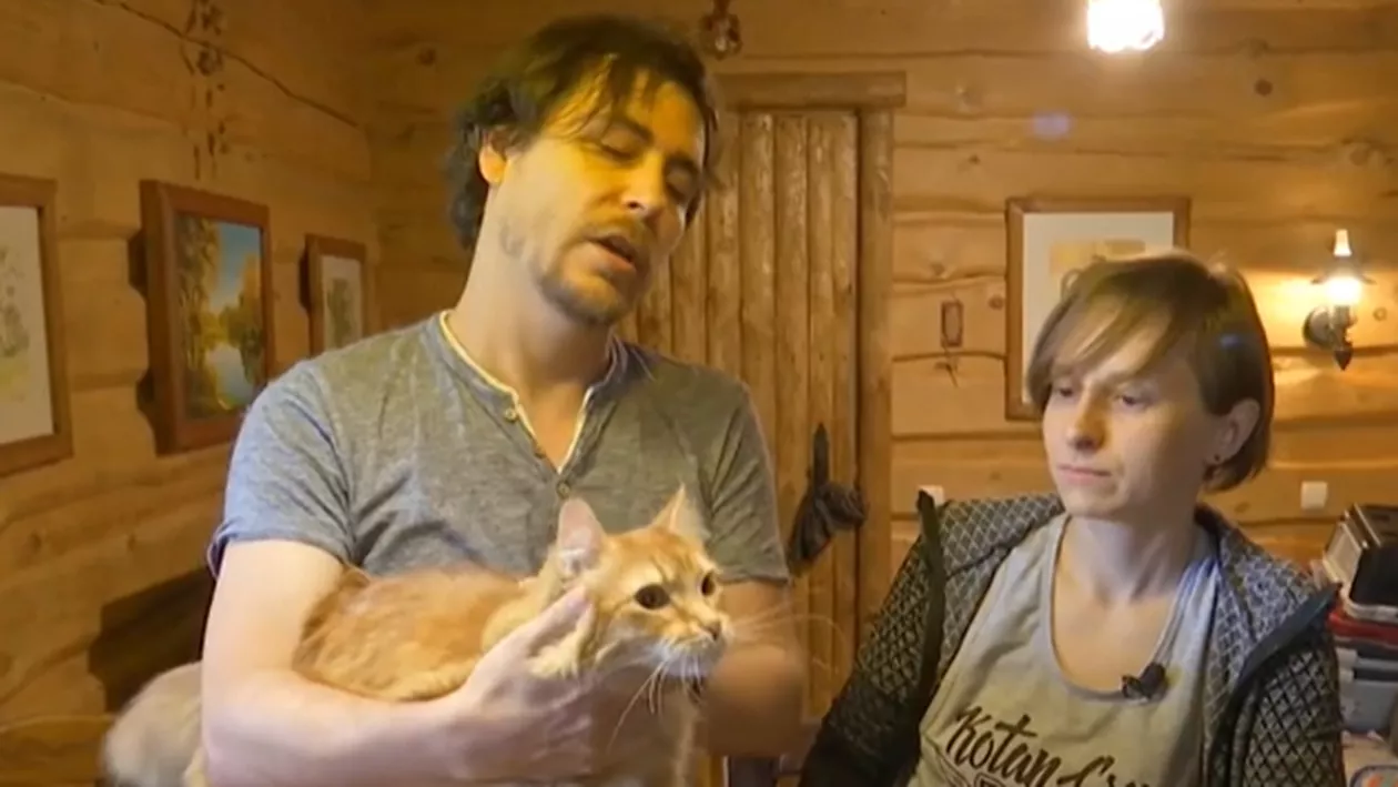 Un cuplu din Harkov a salvat peste 70 de pisici