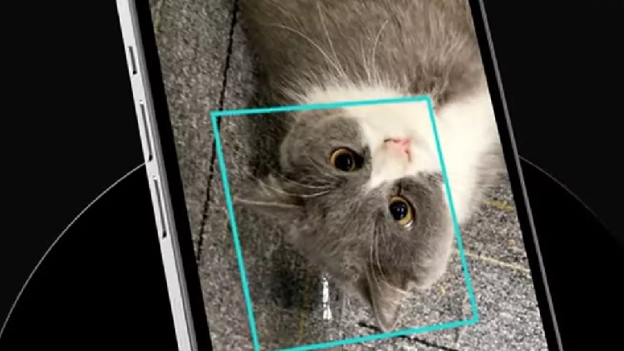 S-a inventat ușa inteligentă pentru animalele de companie care folosește recunoașterea facială