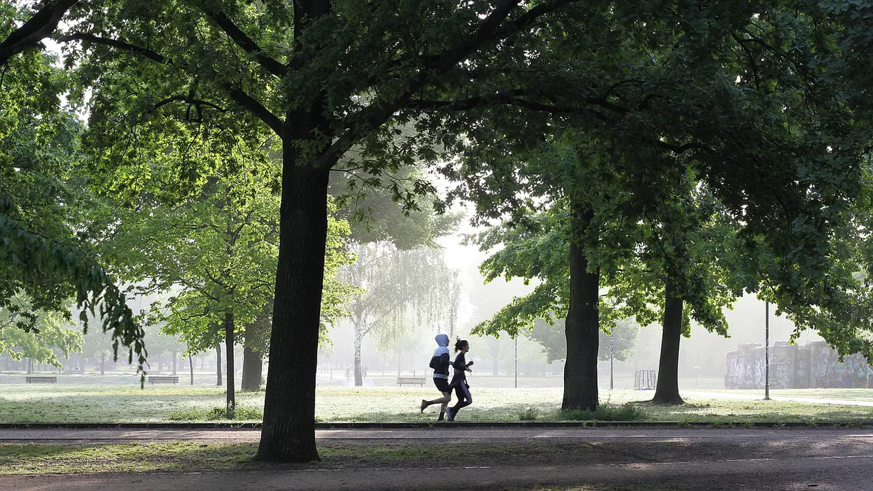 Prefectul Capitalei a atacat în instanță restituirea Parcului Bordei către persoane fizice. Toni Greblă: Nu era posibilă. Vrem să îi consolidăm statutul de parc al Municipiului București (VIDEO)