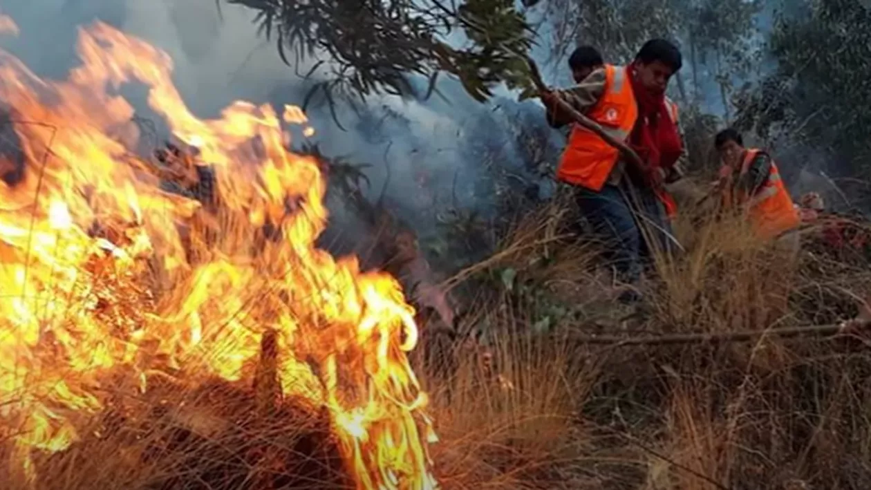 Jumătate din pasagerii unui tren din Spania au suferit arsuri după ce au sărit de teama unui incendiu