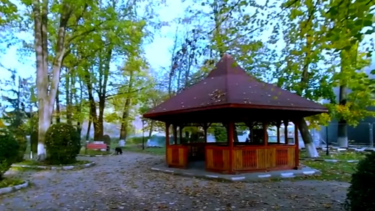 Care este locul din România cu cel mai curat aer? Mii de turiști profită de beneficiile stațiunii situate la doar 100 de km de București
