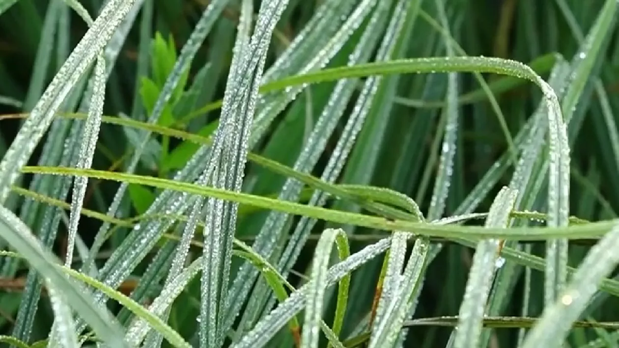 Minus 1,3 grade la Miercurea Ciuc. Este cea mai scăzută temperatură înregistrată luni dimineața în România