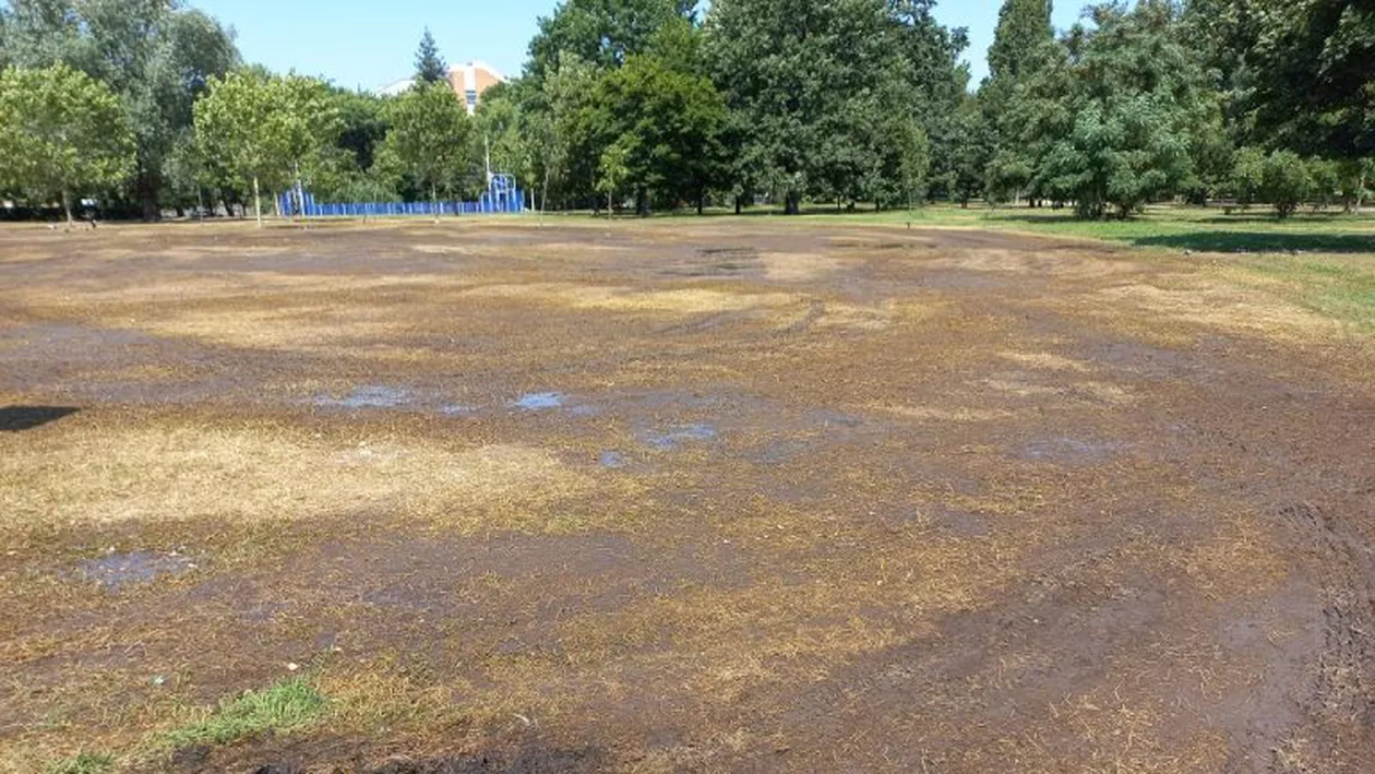 Parcul Izvor din Bucureşti arată deplorabil la câteva zile după ce a avut loc Festivalul Nostalgia: Iarba este complet uscată iar deşeurile sunt la tot pasul