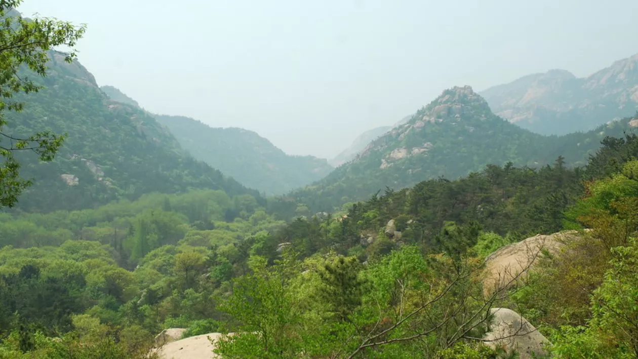 Peștera din Valea Rea, locul secret al comorilor lui Decebal: „Într-o noapte am văzut ţâşnind vâlvătăile din pădure”