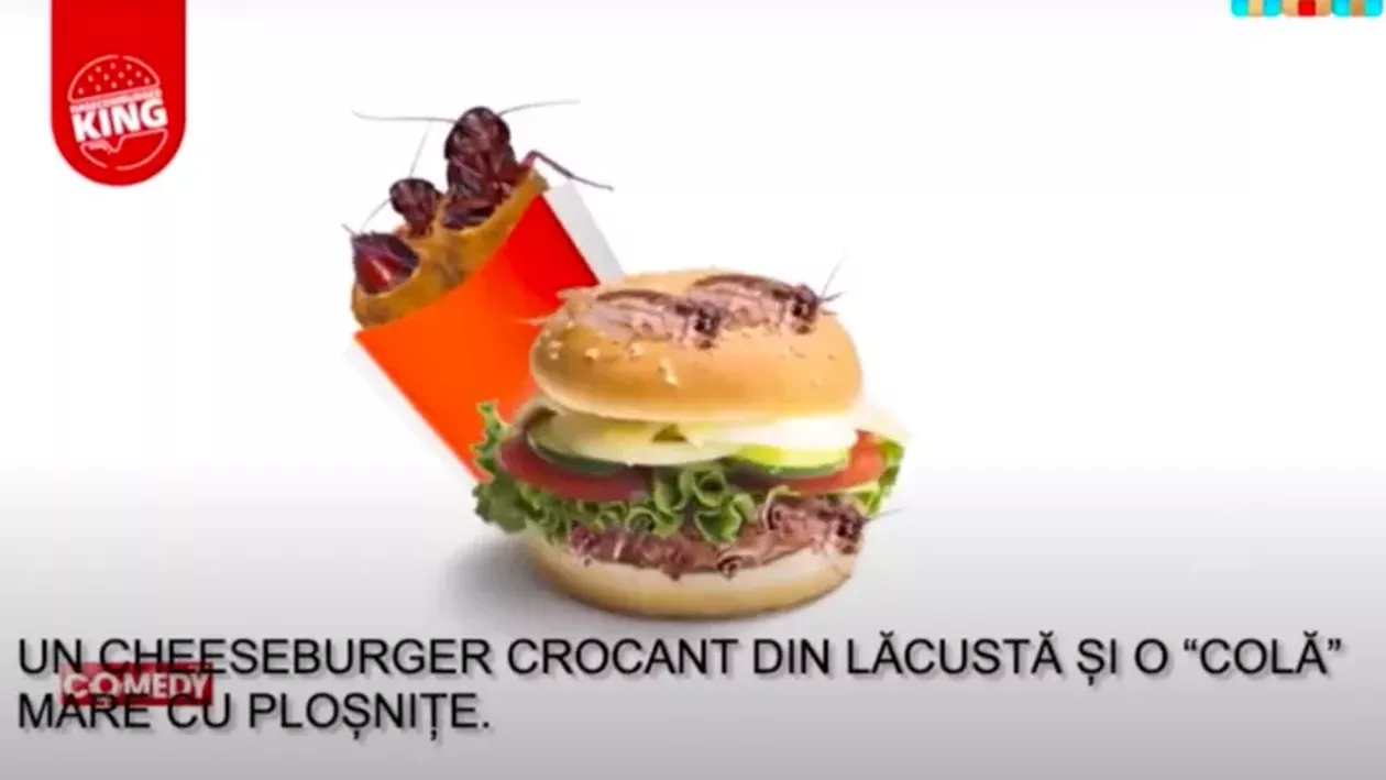 Propaganda rusă susține că europenii au ajuns să mânânce „nuggets cu gândaci de bucătărie” sau „cheeseburgeri cu lăcuste”