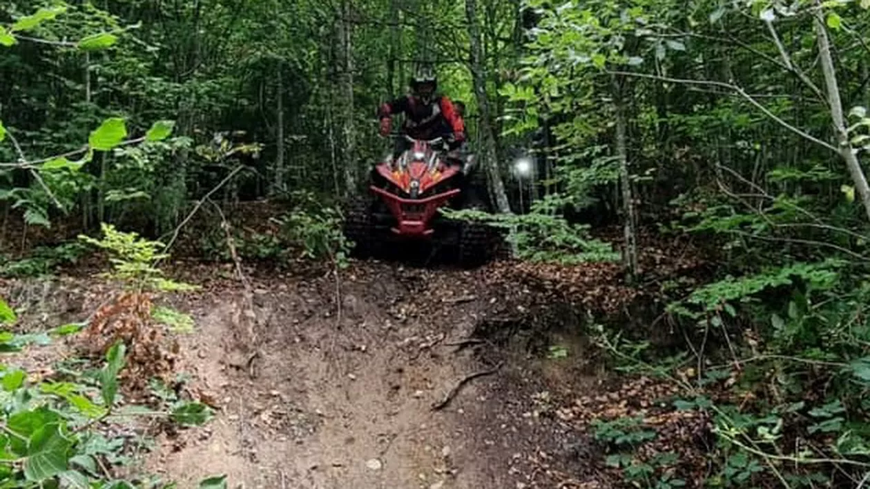 Scene de groază într-o pădure din Caraș-Severin: un bărbat de 43 de ani și-a pierdut viața strivit sub greutatea propriului ATV