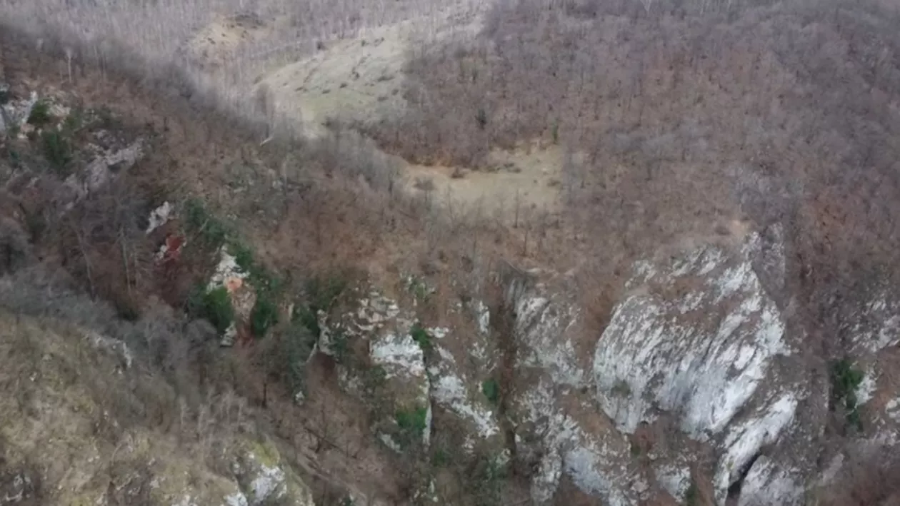 Ponorici, un colț de rai invadat de sălbăticie: „Urșii ne pândesc adesea din pădure”. Ciobanii locului se tem pentru viața lor și a animalelor din stână