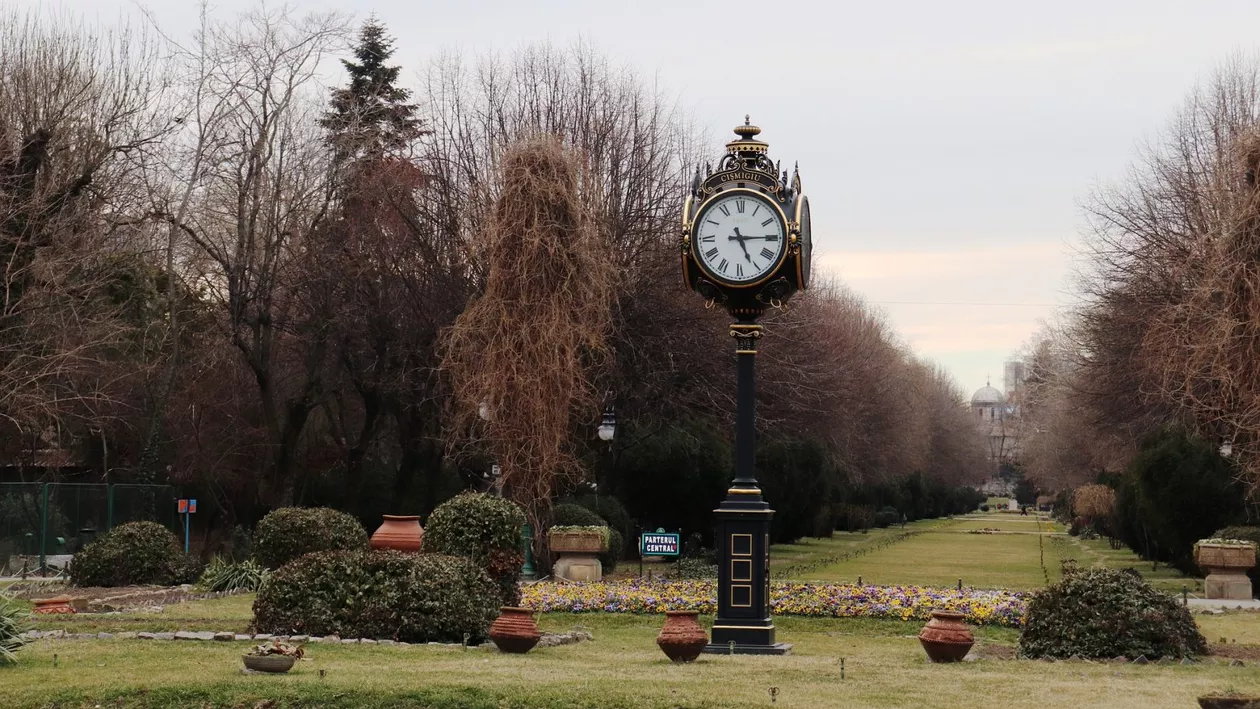 Păsările de pradă, metoda prin care viceprimarul Capitalei vrea să curețe parcul Cișmigiu