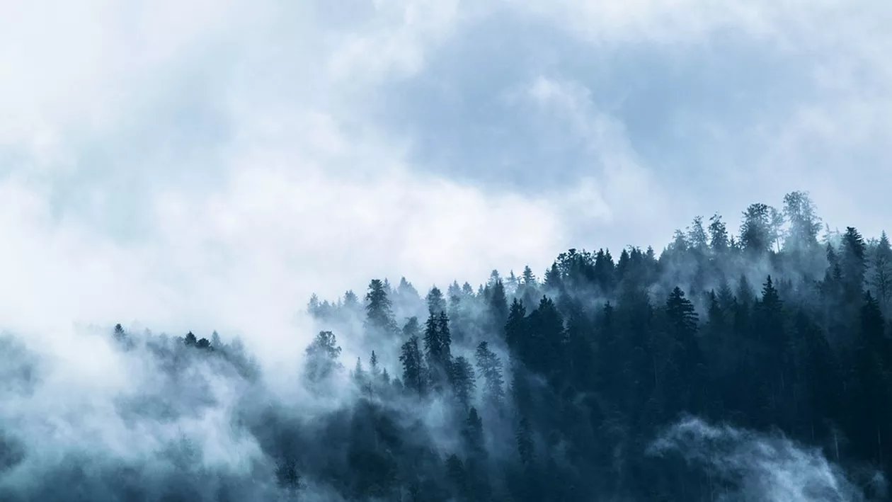 Cod galben de ceaţă densă în cinci judeţe, vineri dimineaţa