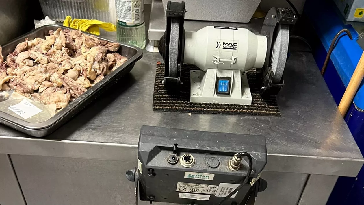 Restaurant Delfinul din Constanța, închis de OPC: inspectorii au găsit gândaci și alimente cu termen de valabilitate depășit