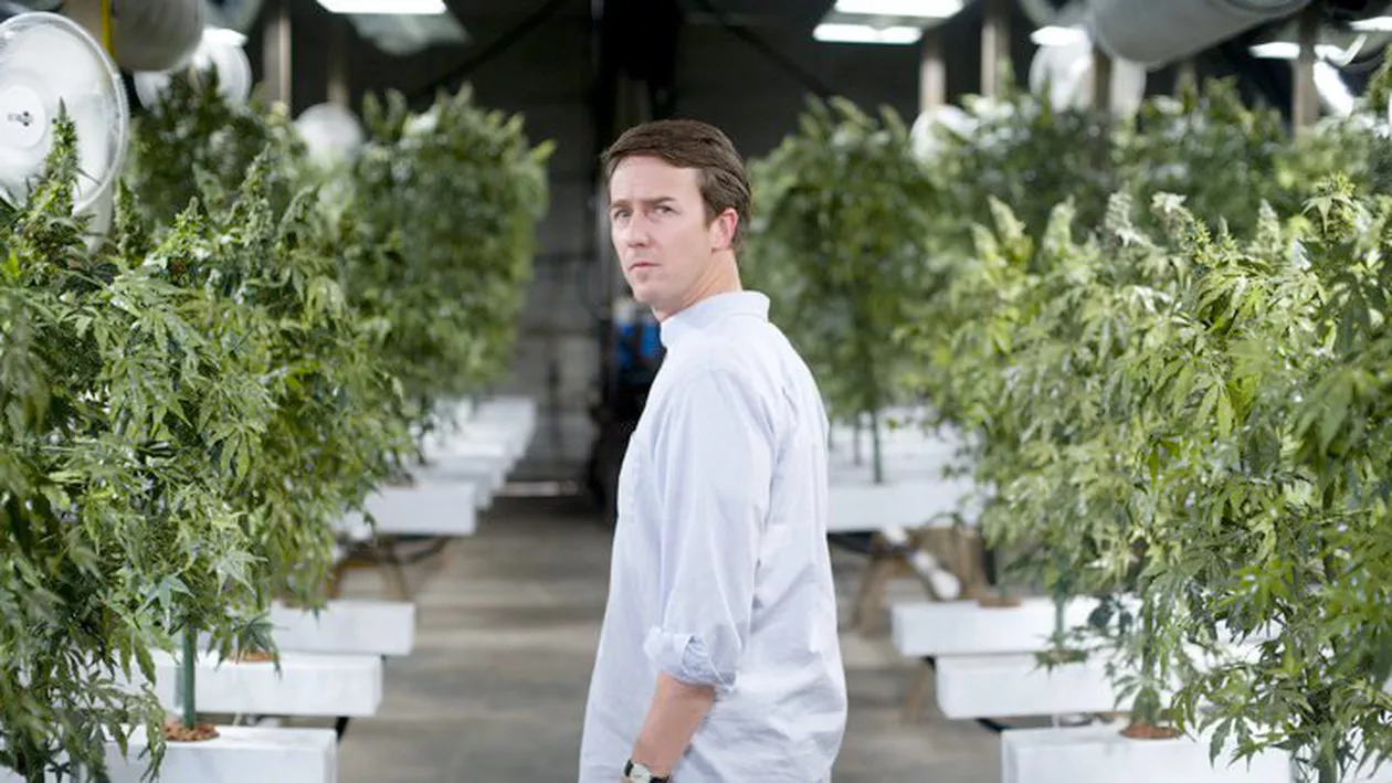 Edward Norton a vrut să-şi afle originile în direct. A regretat după ce a aflat că se trage din Pocahontas şi un proprietar de sclavi