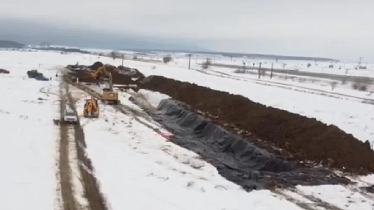 Peste 220.000 de curcani, sacrificați din cauza gripei aviare la cea mai mare fermă din țară. Dragoș Frumosu (Sindalimenta): Dacă autoritățile reacționează ca la pestă, distrug și sectorul ăsta. Va însemna o mare crimă (VIDEO)