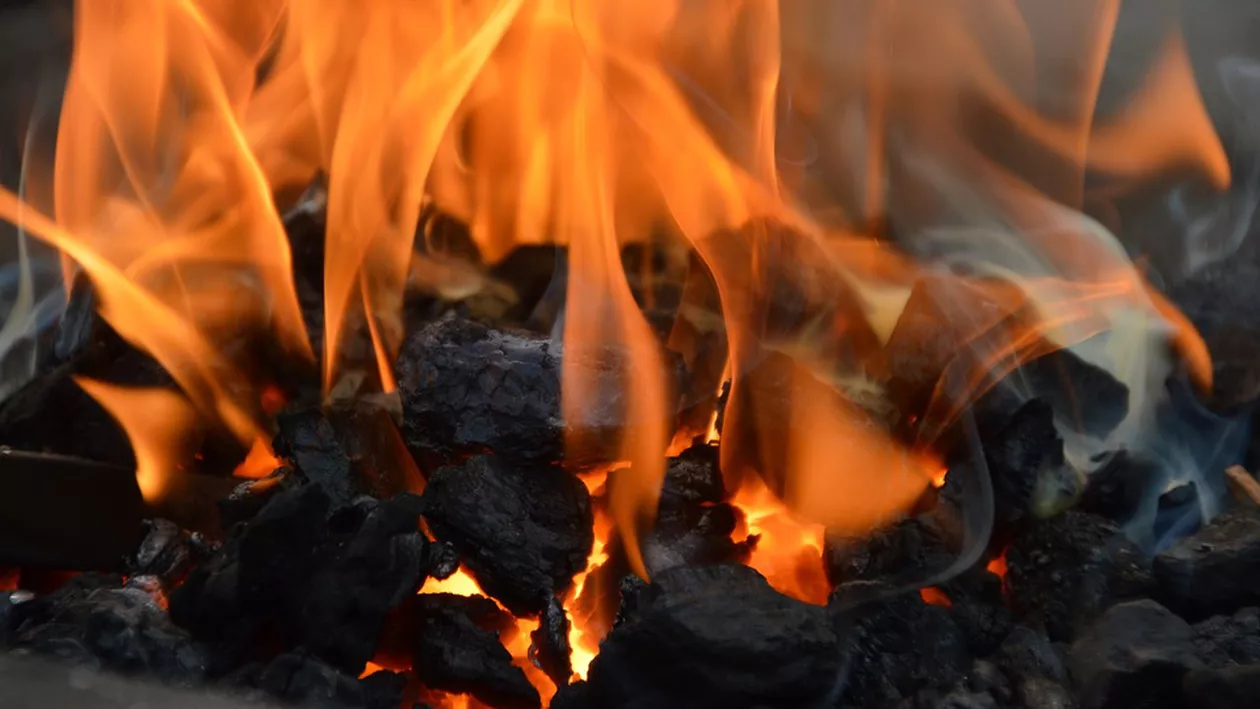 Caz teribil la Bacău: O adolescentă de 16 ani, găsită complet carbonizată, în grădina casei