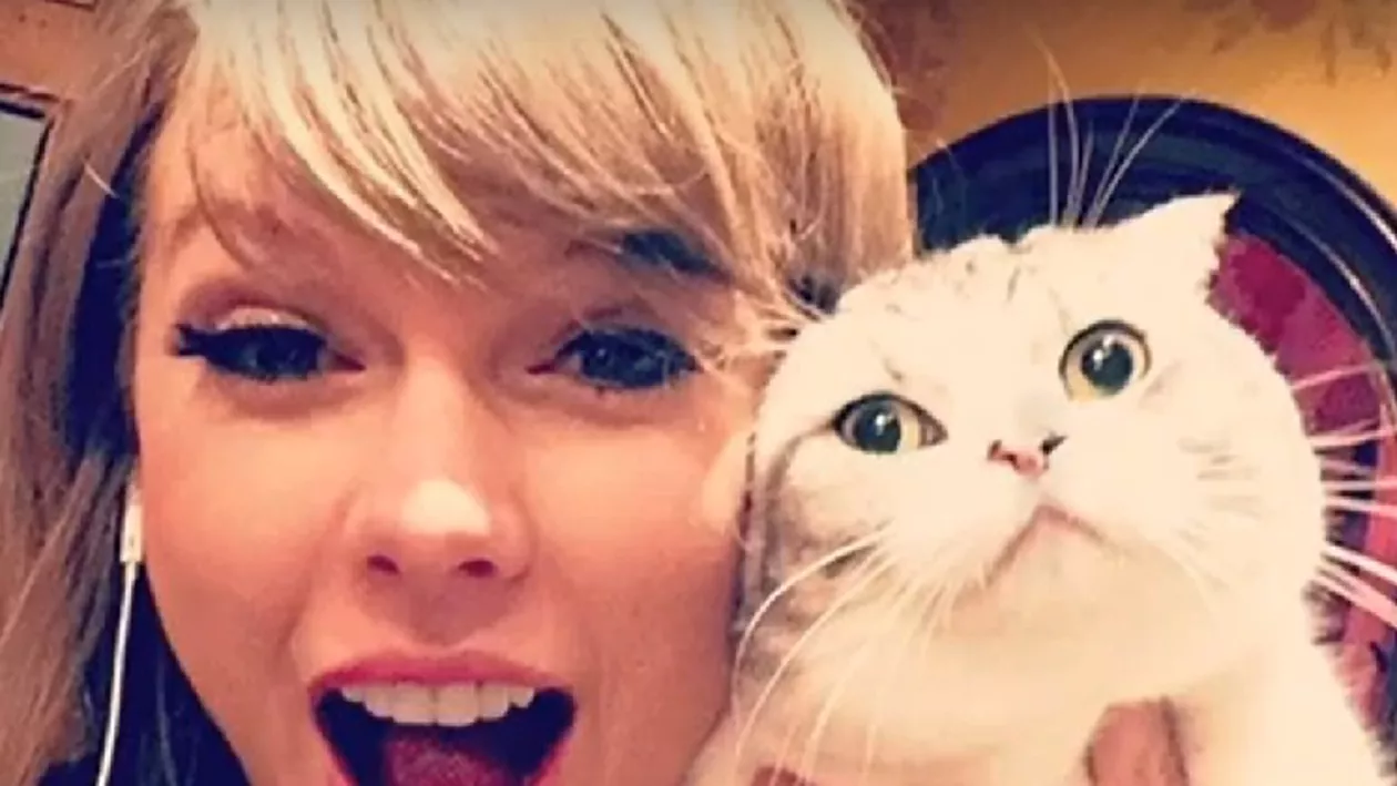 Pisica lui Taylor Swift, în top 3 cele mai bogate animale de companie din lume. Ce avere are felina