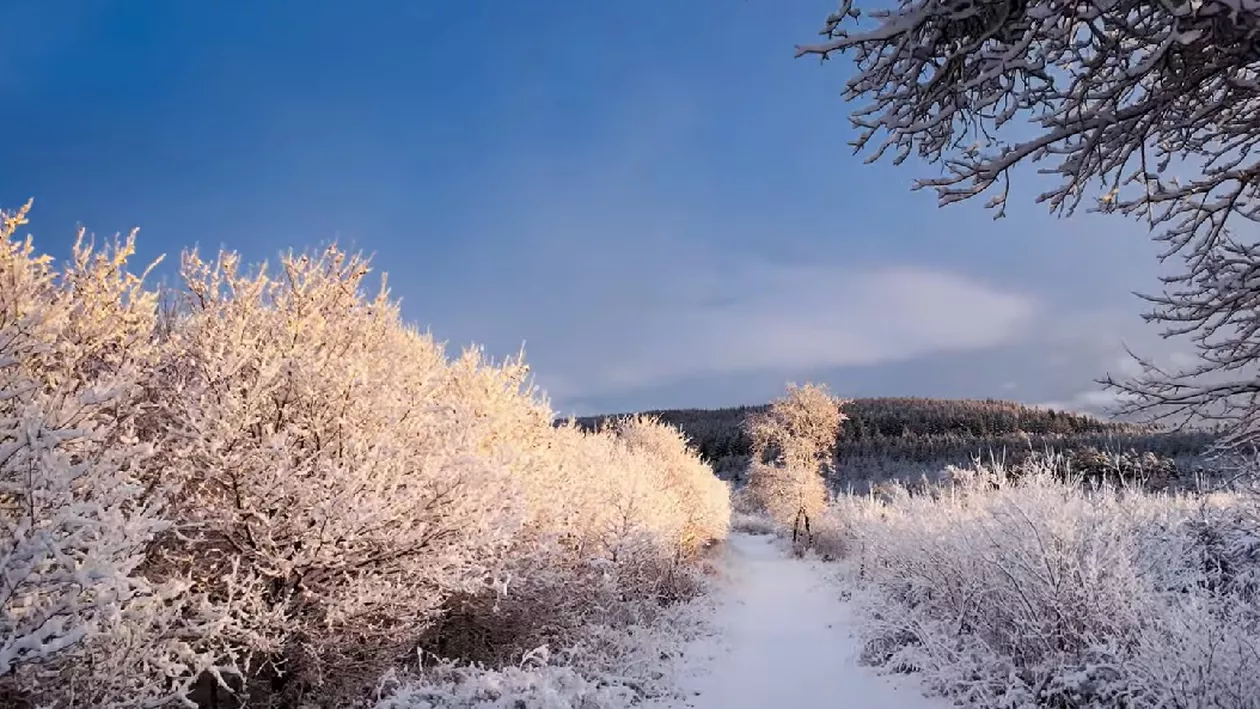 Va fi cald și de Revelion. Când își revin temperaturile la normal