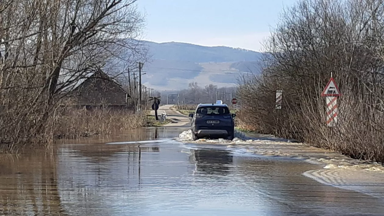 Arad: Drum judeţean închis şi sute de hectare de terenuri inundate, după revărsarea Crişului Alb