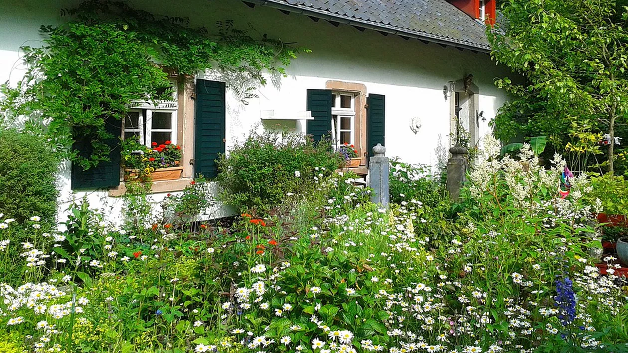 Ce nu trebuie să facă românii în propria curte primăvara / Se dau amenzi usturătoare pentru acest lucru