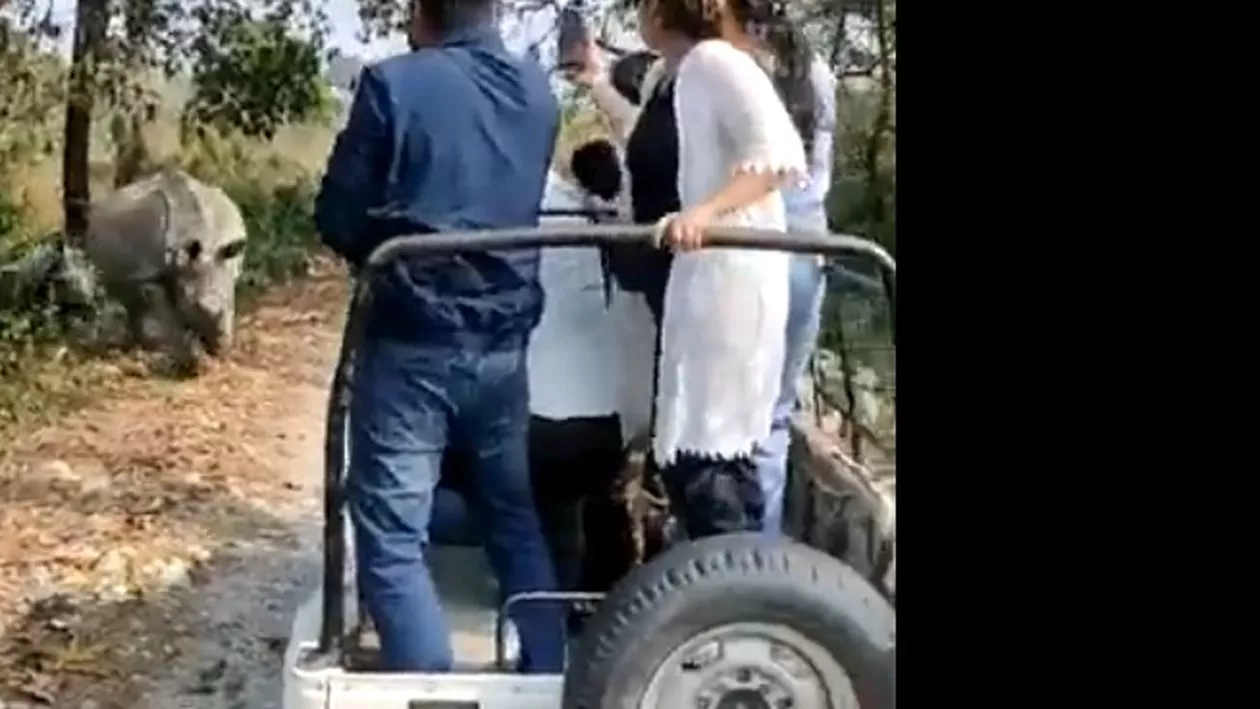 Doi rinoceri care inițial se băteau între ei au atacat un jeep de safari provocând un accident cu șapte răniți