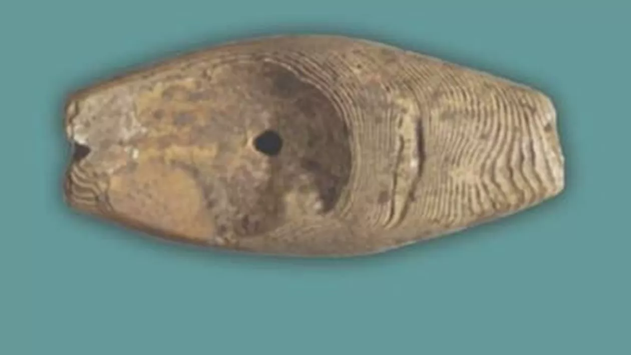 Un instrument muzical preistoric care produce peste 12 sunete a fost descoperit la Alba Iulia