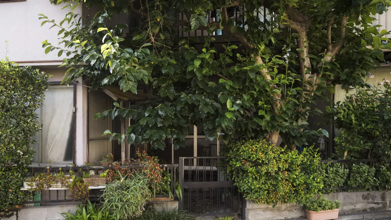 Piața imobiliară din Cluj-Napoca uimește din nou. Cât cere pe lună un proprietar pentru un beci