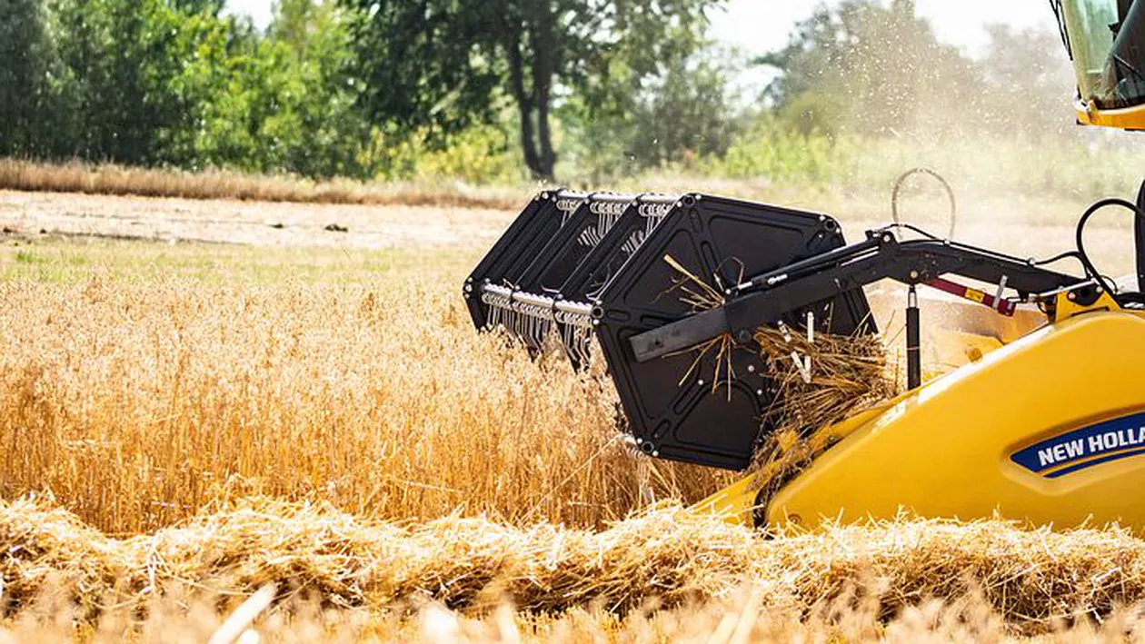 Fructe și legume noi pe piața românească. Ce spun specialiștii despre castravetele țepos, spanacul urcător de Malabar și pepenele cu gust de coniac
