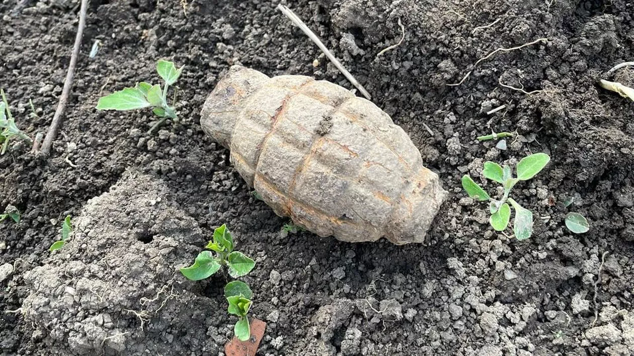 Grenadă neexplodată descoperită de un bărbat din Olt în timpul unor lucrări agricole în grădină