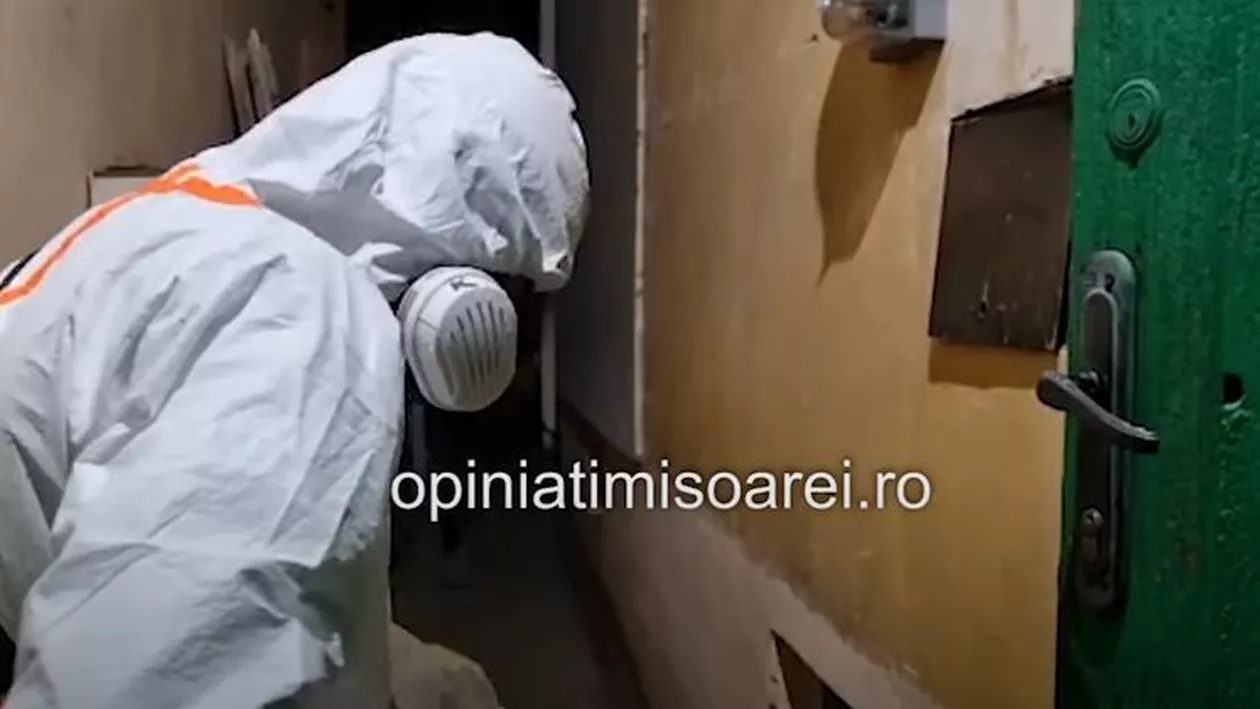 Descoperire macabră în Timișoara: Mamă și fiu, găsiți morți în casă. Ei nu mai fuseseră văzuți de câteva săptămâni (VIDEO)